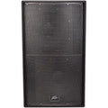 Peavey Versarray 218 Passive Subwoofer - B-Stock